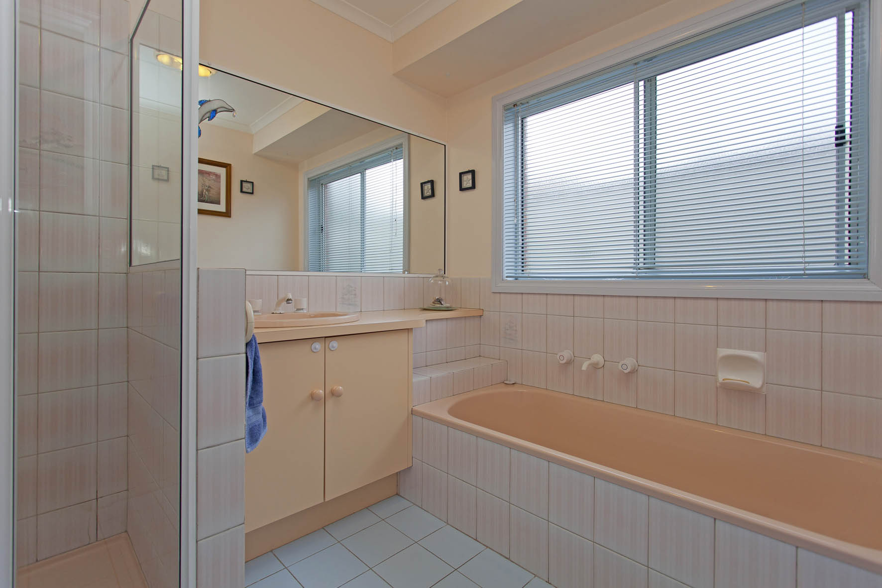 edit11 kingfisher 5.JPG